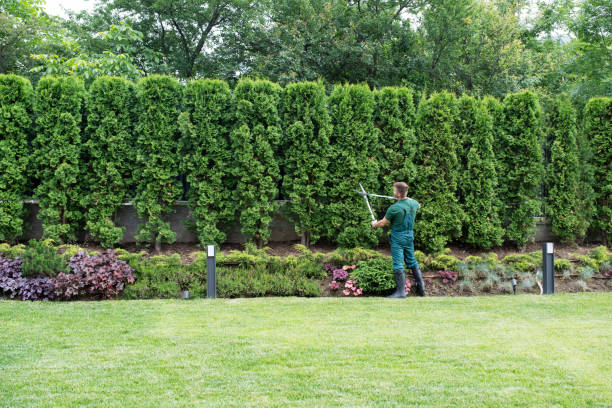 Best Hazardous Tree Removal  in Dodge City, KS